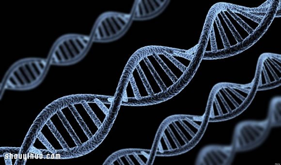 冬季保濕指南：別再讓自己擁有干裂肌膚 -  rpnrmr.com