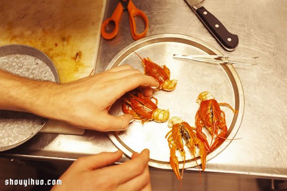 丹麥NOMA簡約裝潢餐廳 品嘗米其林二星美味 -  rpnrmr.com