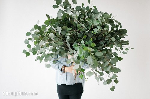 利用鮮花植物裝扮布置圣誕節(jié)春節(jié)家居空間 -  rpnrmr.com