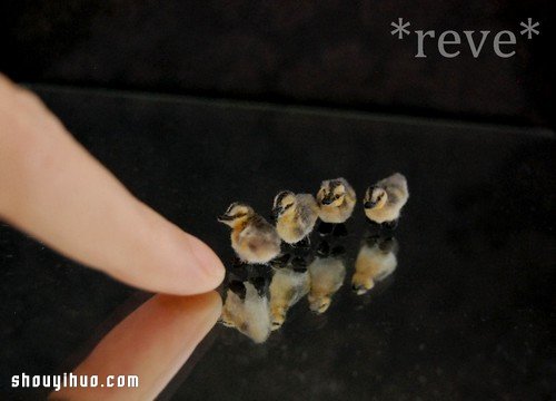 利用軟陶和紗線手工制作的迷你動物模型 -  rpnrmr.com