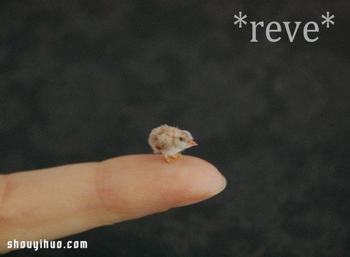 利用軟陶和紗線手工制作的迷你動物模型 -  rpnrmr.com