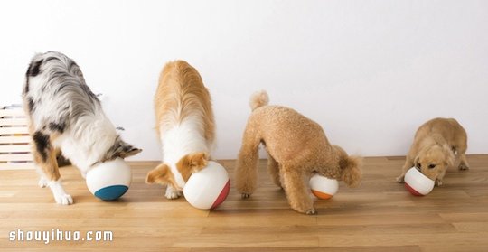 Oppo Food Ball 讓狗狗慢食的不倒翁碗 -  rpnrmr.com