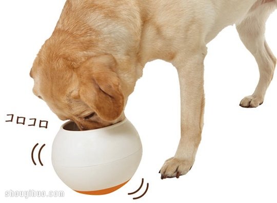 Oppo Food Ball 讓狗狗慢食的不倒翁碗 -  rpnrmr.com