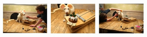 Peter Thorpe 和愛犬的20年圣誕變裝秀 -  rpnrmr.com