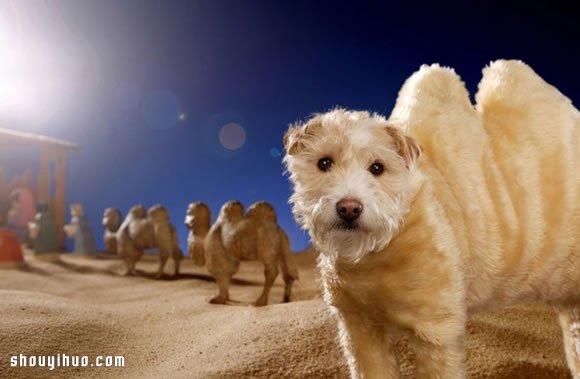 Peter Thorpe 和愛犬的20年圣誕變裝秀 -  rpnrmr.com