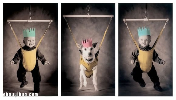 Peter Thorpe 和愛犬的20年圣誕變裝秀 -  rpnrmr.com