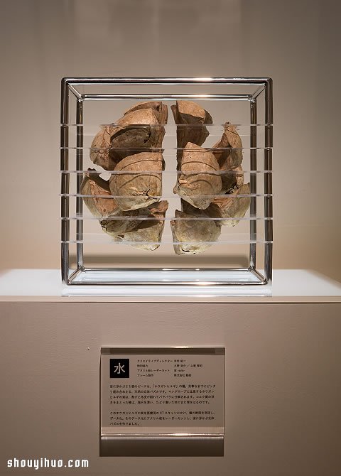 立方塊里的治愈宇宙 京都植物標(biāo)本作品展覽 -  rpnrmr.com