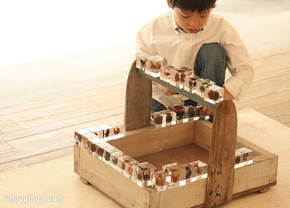 立方塊里的治愈宇宙 京都植物標(biāo)本作品展覽 -  rpnrmr.com