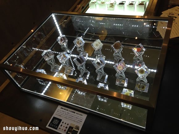 立方塊里的治愈宇宙 京都植物標(biāo)本作品展覽 -  rpnrmr.com