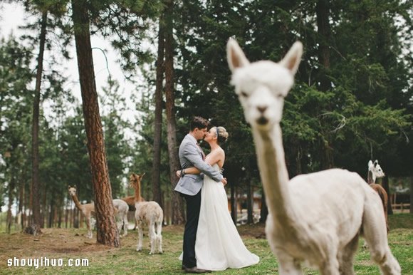 2014年最浪漫的25張婚紗照 回味最甜蜜時(shí)光 -  rpnrmr.com