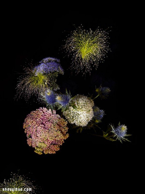 Flowerwork 德國藝術(shù)家設(shè)計(jì)的花朵煙花 -  rpnrmr.com