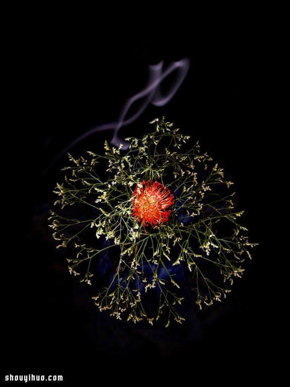 Flowerwork 德國藝術(shù)家設(shè)計(jì)的花朵煙花 -  rpnrmr.com
