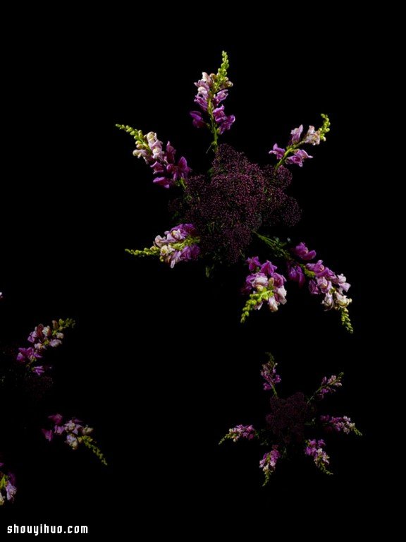 Flowerwork 德國藝術(shù)家設(shè)計(jì)的花朵煙花 -  rpnrmr.com