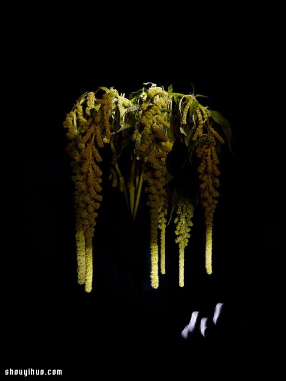 Flowerwork 德國藝術(shù)家設(shè)計(jì)的花朵煙花 -  rpnrmr.com