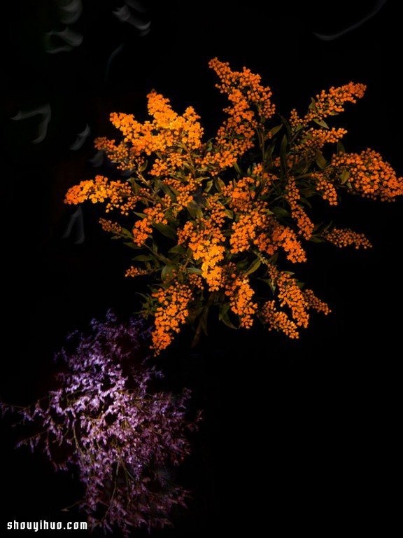 Flowerwork 德國藝術(shù)家設(shè)計(jì)的花朵煙花 -  rpnrmr.com