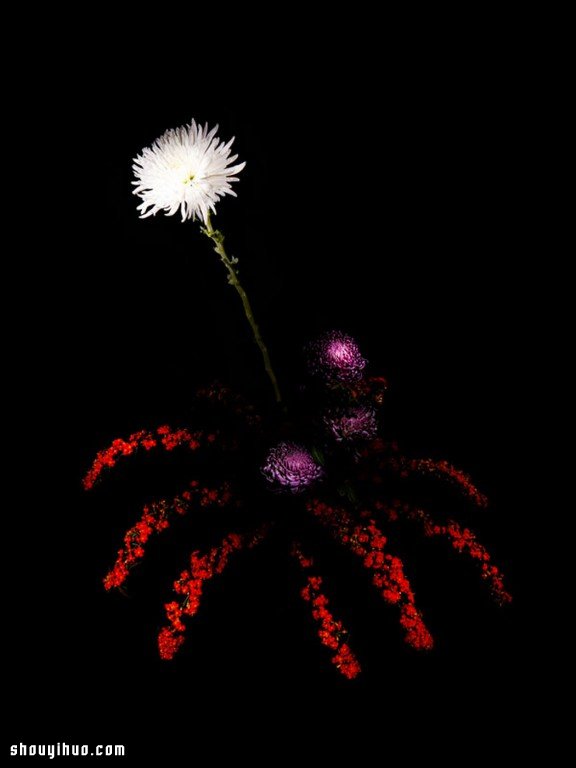 Flowerwork 德國藝術(shù)家設(shè)計(jì)的花朵煙花 -  rpnrmr.com