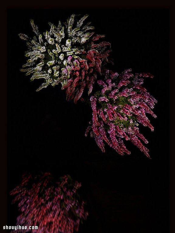 Flowerwork 德國藝術(shù)家設(shè)計(jì)的花朵煙花 -  rpnrmr.com