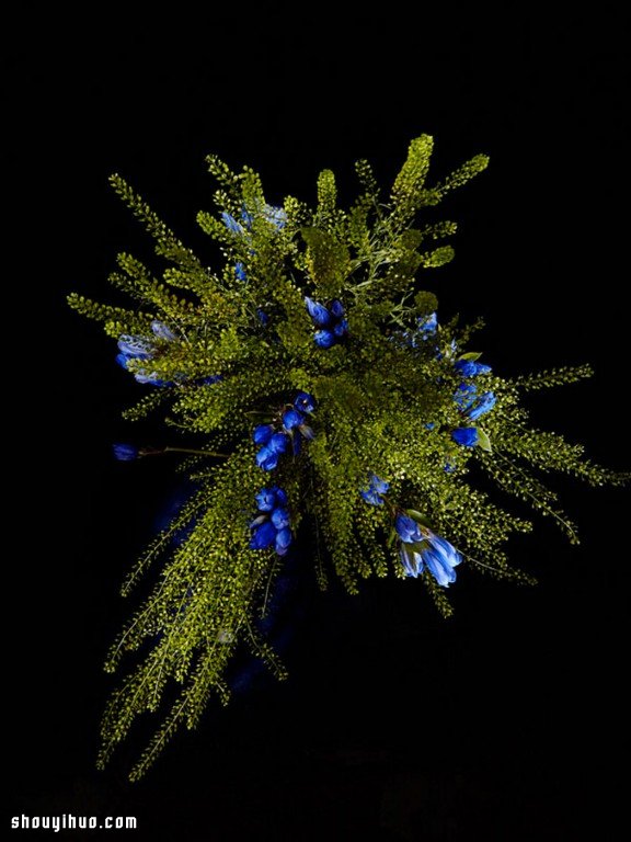 Flowerwork 德國藝術(shù)家設(shè)計(jì)的花朵煙花 -  rpnrmr.com