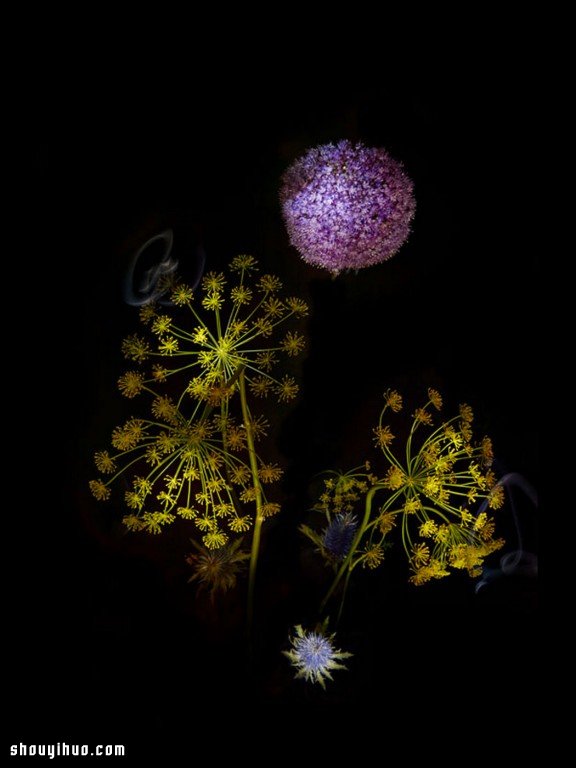 Flowerwork 德國藝術(shù)家設(shè)計(jì)的花朵煙花 -  rpnrmr.com
