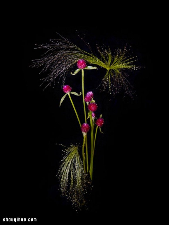 Flowerwork 德國藝術(shù)家設(shè)計(jì)的花朵煙花 -  rpnrmr.com
