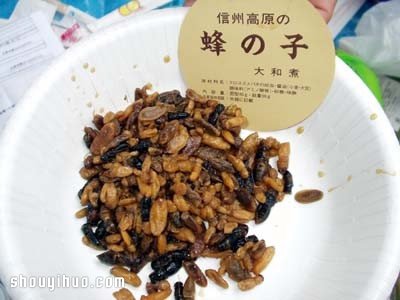 昆蟲PK海產(chǎn) 日本暗黑料理你敢吃哪樣？ -  rpnrmr.com