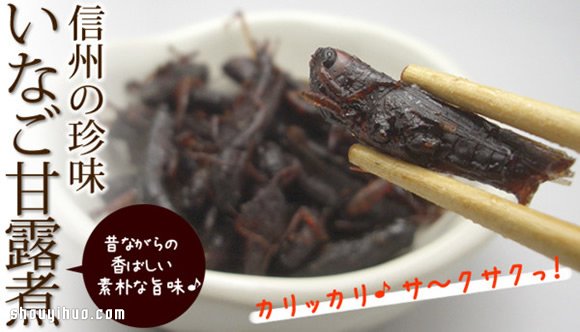 昆蟲PK海產(chǎn) 日本暗黑料理你敢吃哪樣？ -  rpnrmr.com