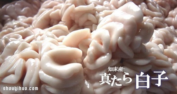 昆蟲PK海產(chǎn) 日本暗黑料理你敢吃哪樣？ -  rpnrmr.com
