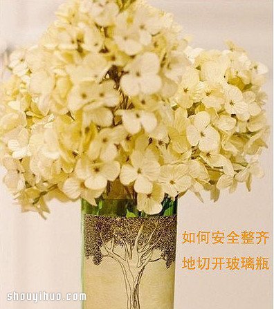 如何安全整齊切割玻璃瓶 廢物利用DIY花瓶 -  rpnrmr.com
