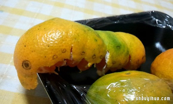 日本人惡搞的吃橘子創(chuàng)意 DIY橘子毛毛蟲 -  rpnrmr.com