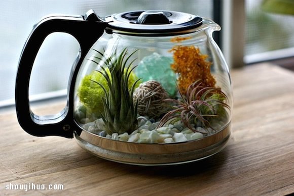 DIY盆栽設(shè)計(jì) 手工制作咖啡壺里的植物世界 -  rpnrmr.com