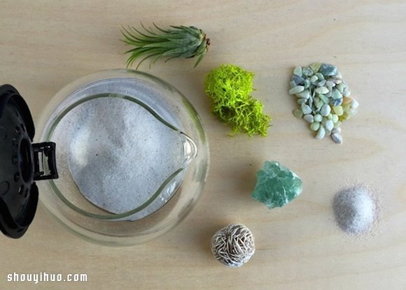 DIY盆栽設(shè)計(jì) 手工制作咖啡壺里的植物世界 -  rpnrmr.com