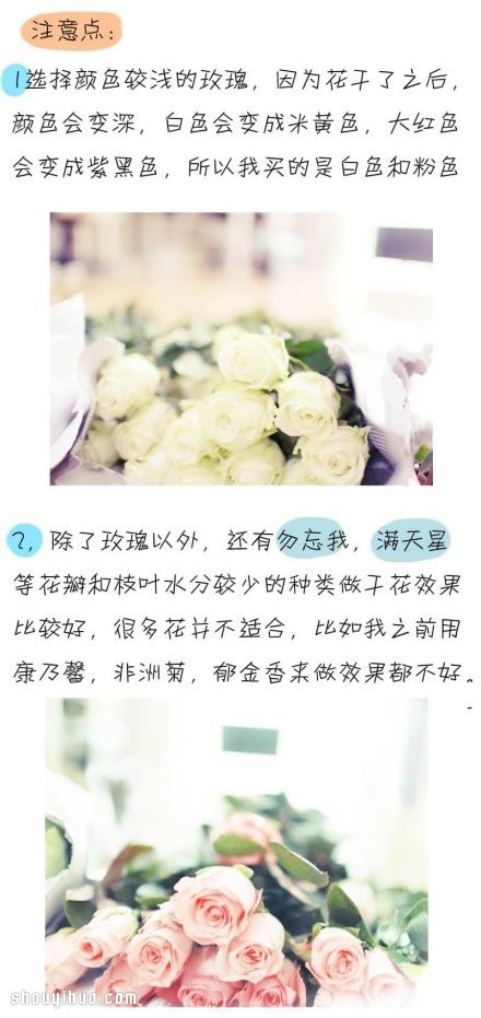 如何制作干花 干花制作方法圖解教程 -  rpnrmr.com