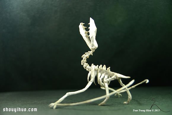 越南折紙藝術(shù)家Adam Tram的折紙恐龍作品 -  rpnrmr.com