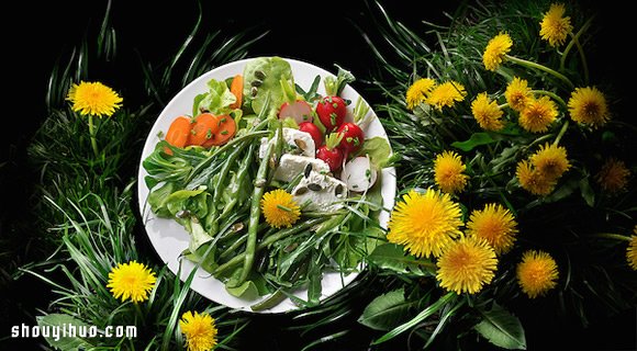 Pnd Futura 超華美食物攝影作品欣賞 -  rpnrmr.com