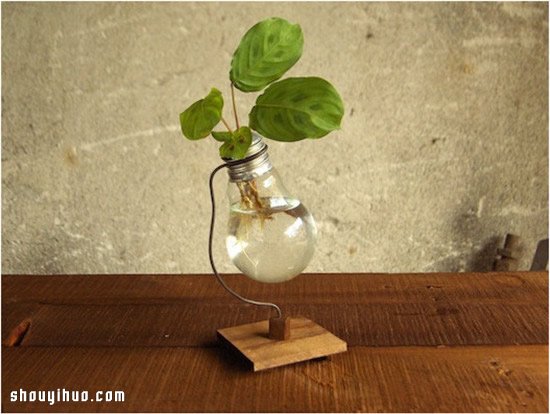 白熾燈泡廢物利用手工DIY制作煤油燈花瓶 -  rpnrmr.com