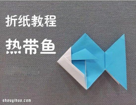 熱帶小魚的折法圖解 手工折紙熱帶魚步驟 -  rpnrmr.com