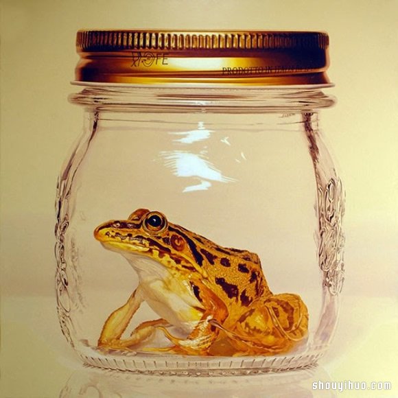 Young-Sung Kim 超寫實動物繪畫作品 -  rpnrmr.com