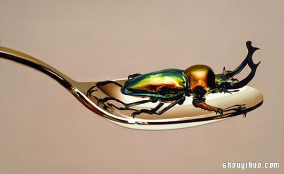 Young-Sung Kim 超寫實動物繪畫作品 -  rpnrmr.com