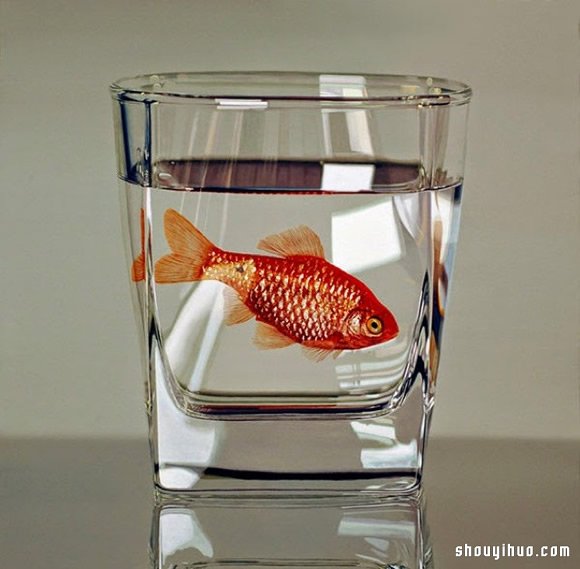 Young-Sung Kim 超寫實動物繪畫作品 -  rpnrmr.com
