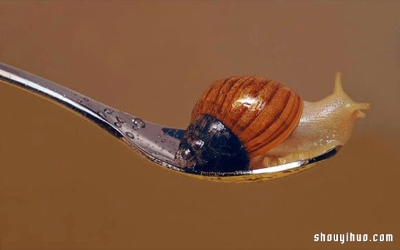 Young-Sung Kim 超寫實動物繪畫作品 -  rpnrmr.com