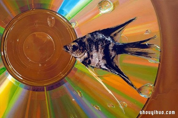 Young-Sung Kim 超寫實動物繪畫作品 -  rpnrmr.com