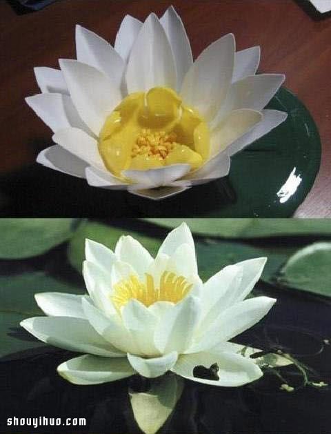 塑料瓶變廢為寶手工制作漂亮蓮花 -  rpnrmr.com