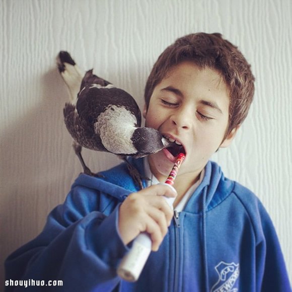 小男孩Noah與喜鵲Penguin的暖心故事 -  rpnrmr.com