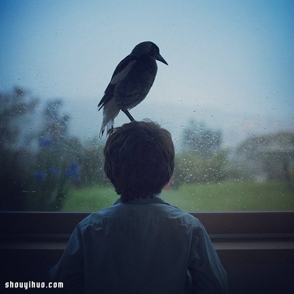 小男孩Noah與喜鵲Penguin的暖心故事 -  rpnrmr.com