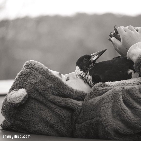小男孩Noah與喜鵲Penguin的暖心故事 -  rpnrmr.com