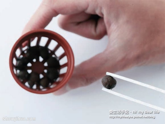 魚(yú)菜共生！超簡(jiǎn)單養(yǎng)魚(yú)種菜一次搞定 -  rpnrmr.com