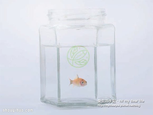 魚(yú)菜共生！超簡(jiǎn)單養(yǎng)魚(yú)種菜一次搞定 -  rpnrmr.com