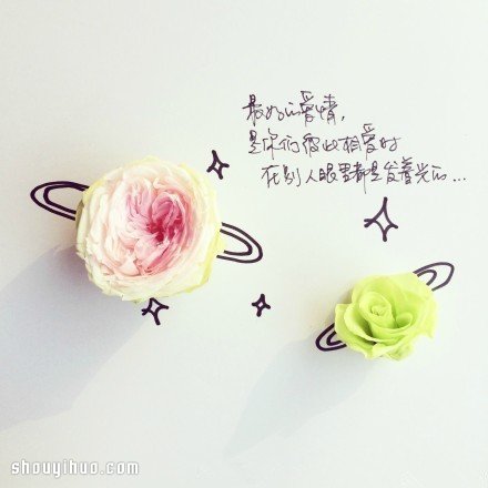 鮮花與簡(jiǎn)筆畫(huà)創(chuàng)意DIY 講述簡(jiǎn)單的愛(ài)情箴言 -  rpnrmr.com