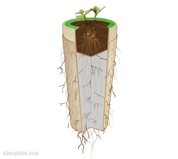 Bios Urn 盆栽骨灰壇 環(huán)保的方式回歸自然 -  rpnrmr.com
