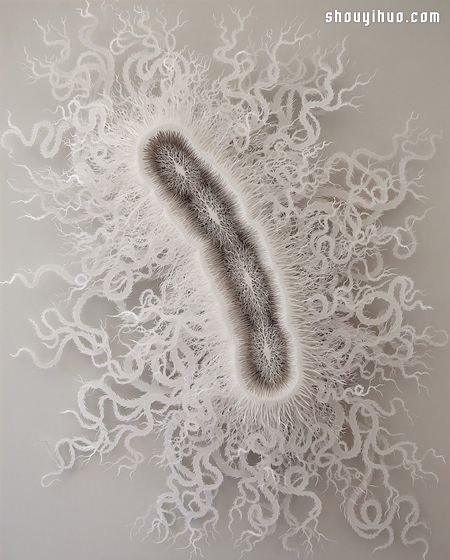 原來細(xì)菌也能這么美！超精細(xì)微生物紙雕 -  rpnrmr.com